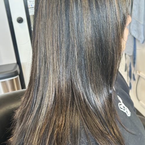 Highlights 8