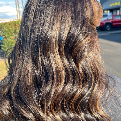 Highlights 3