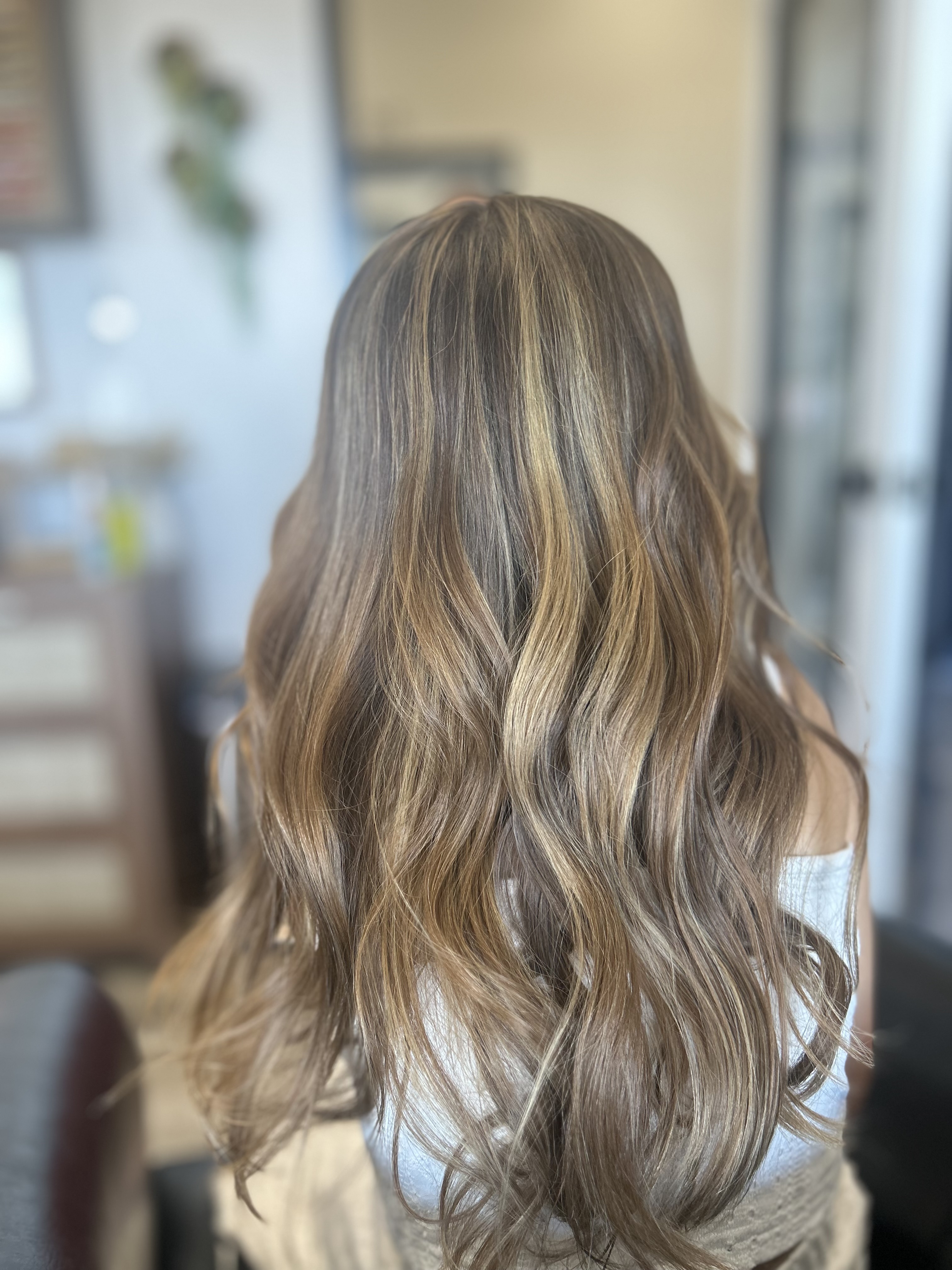 Highlights 5